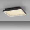 Paul Neuhaus Q-Serie Q-Magong ceiling light LED black, 1-light source, Remote control