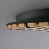 Paul Neuhaus Q-Serie Q-Akustik wall and ceiling light LED brown, black, 1-light source, Remote control