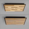 Paul Neuhaus Q-Serie Q-Akustik wall and ceiling light LED brown, black, 1-light source, Remote control