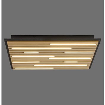 Paul Neuhaus Q-Serie Q-Akustik wall and ceiling light LED brown, black, 1-light source, Remote control
