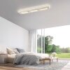 Paul Neuhaus Q-Serie Q-Kalina ceiling light LED white, 1-light source, Remote control