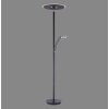Paul Neuhaus lights Artur floor lamp LED anthracite, 2-light sources