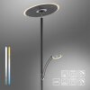 Paul Neuhaus lights Artur floor lamp LED anthracite, 2-light sources