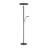 Paul Neuhaus lights Artur floor lamp LED anthracite, 2-light sources