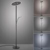 Paul Neuhaus lights Artur floor lamp LED anthracite, 2-light sources