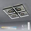 Paul Neuhaus lights Traforo ceiling light LED black, 1-light source, Remote control