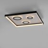 Paul Neuhaus lights Dune ceiling light LED black, 1-light source, Remote control