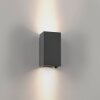 Paul Neuhaus lights Block wall light LED anthracite, 2-light sources