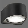 Paul Neuhaus lights Carla wall light LED anthracite, 2-light sources