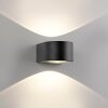 Paul Neuhaus lights Carla wall light LED anthracite, 2-light sources
