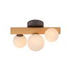 Paul Neuhaus lights Popsicle wall and ceiling light LED brown, black, 3-light sources