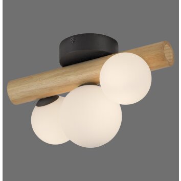Paul Neuhaus lights Popsicle wall and ceiling light LED brown, black, 3-light sources