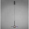 Paul Neuhaus lights Vitrum pendant light LED grey, 2-light sources