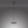 Paul Neuhaus lights Vitrum pendant light LED grey, 2-light sources