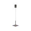 Paul Neuhaus lights Vitrum pendant light LED grey, 2-light sources