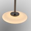 Paul Neuhaus lights Vitrum pendant light LED brown, 2-light sources