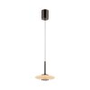 Paul Neuhaus lights Vitrum pendant light LED brown, 2-light sources