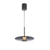 Paul Neuhaus lights E-Vitrum pendant light LED grey, 2-light sources, Remote control