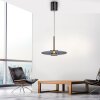 Paul Neuhaus lights E-Vitrum pendant light LED grey, 2-light sources, Remote control