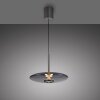 Paul Neuhaus lights E-Vitrum pendant light LED grey, 2-light sources, Remote control