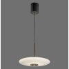 Paul Neuhaus lights E-Vitrum pendant light LED brown, 2-light sources, Remote control