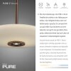 Paul Neuhaus lights E-Vitrum pendant light LED brown, 2-light sources, Remote control