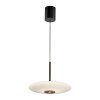 Paul Neuhaus lights E-Vitrum pendant light LED brown, 2-light sources, Remote control