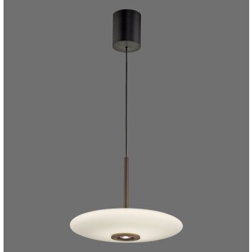 Paul Neuhaus lights E-Vitrum pendant light LED brown, 2-light sources, Remote control