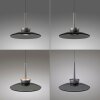 Paul Neuhaus lights Moon pendant light LED grey, 2-light sources