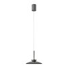 Paul Neuhaus lights Moon pendant light LED grey, 2-light sources