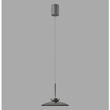 Paul Neuhaus lights Moon pendant light LED grey, 2-light sources