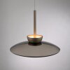 Paul Neuhaus lights Moon pendant light LED bronze, 2-light sources