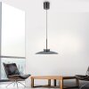 Paul Neuhaus lights E-Moon pendant light LED grey, 2-light sources, Remote control