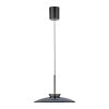 Paul Neuhaus lights E-Moon pendant light LED grey, 2-light sources, Remote control