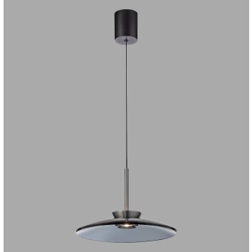 Paul Neuhaus lights E-Moon pendant light LED grey, 2-light sources, Remote control