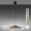 Paul Neuhaus lights E-Moon pendant light LED bronze, 2-light sources, Remote control