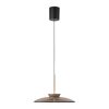 Paul Neuhaus lights E-Moon pendant light LED bronze, 2-light sources, Remote control