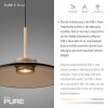 Paul Neuhaus lights E-Moon pendant light LED bronze, 2-light sources, Remote control