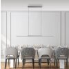 Paul Neuhaus lights Surface pendant light LED grey, 1-light source