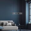 Paul Neuhaus lights E-Loop pendant light LED grey, 2-light sources, Remote control