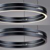Paul Neuhaus lights E-Loop pendant light LED grey, 2-light sources, Remote control