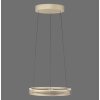 Paul Neuhaus lights E-Loop pendant light LED brass, 2-light sources, Remote control
