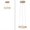 Paul Neuhaus lights E-Loop pendant light LED brass, 2-light sources, Remote control