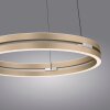 Paul Neuhaus lights E-Loop pendant light LED brass, 2-light sources, Remote control