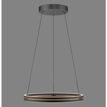 Paul Neuhaus lights E-Loop pendant light LED black, 2-light sources, Remote control