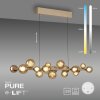 Paul Neuhaus lights E-Popup pendant light LED bronze, 18-light sources, Remote control