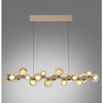 Paul Neuhaus lights E-Popup pendant light LED bronze, 18-light sources, Remote control