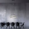 Paul Neuhaus lights Rings pendant light LED grey, 1-light source, Remote control