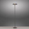 Paul Neuhaus lights Vitrum floor lamp LED grey, 2-light sources