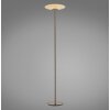 Paul Neuhaus lights Vitrum floor lamp LED brown, 2-light sources